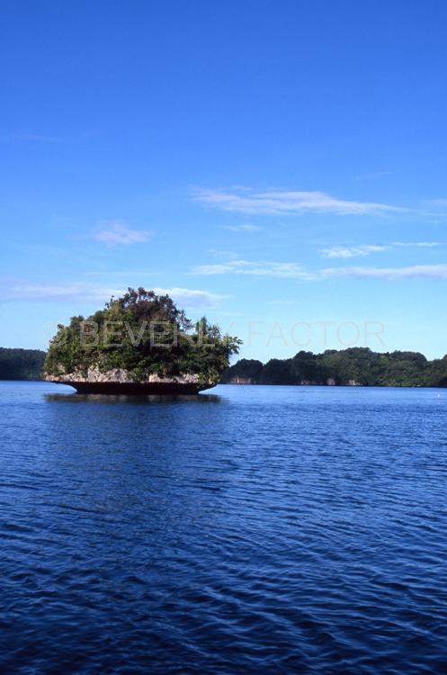 Island;trees;green;blue water